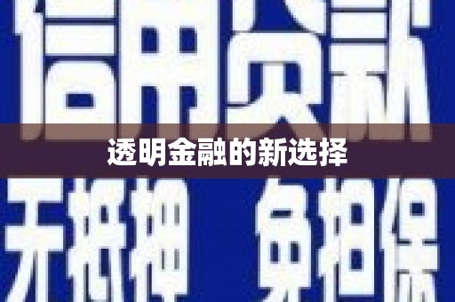 亭湖透明金融的新选择