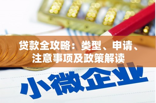 亭湖贷款全攻略：类型、申请、注意事项及政策解读