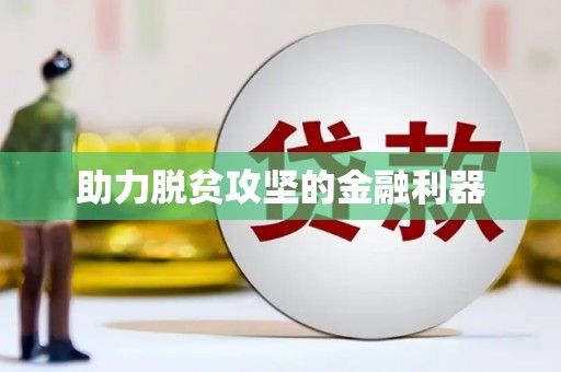亭湖助力脱贫攻坚的金融利器