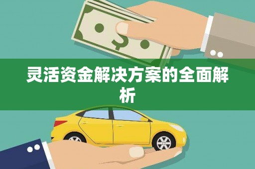 亭湖灵活资金解决方案的全面解析