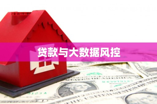 亭湖贷款与大数据风控