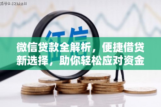 亭湖微信贷款全解析，便捷借贷新选择，助你轻松应对资金需求