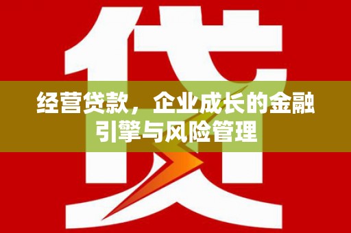 亭湖经营贷款，企业成长的金融引擎与风险管理