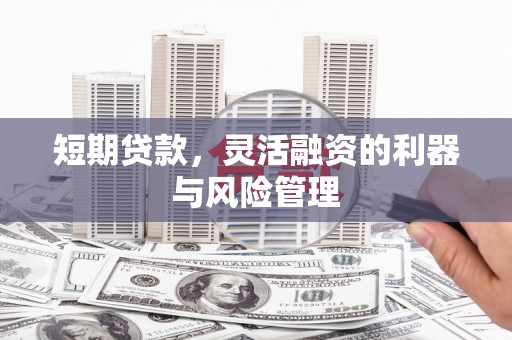 亭湖短期贷款，灵活融资的利器与风险管理