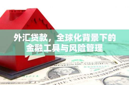 亭湖外汇贷款，全球化背景下的金融工具与风险管理