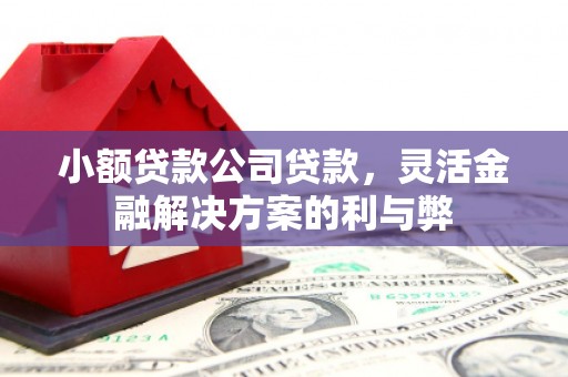 亭湖小额贷款公司贷款，灵活金融解决方案的利与弊