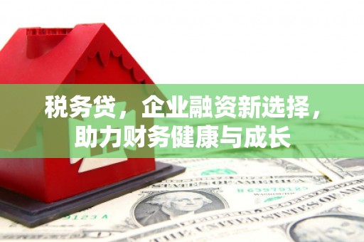 亭湖税务贷，企业融资新选择，助力财务健康与成长