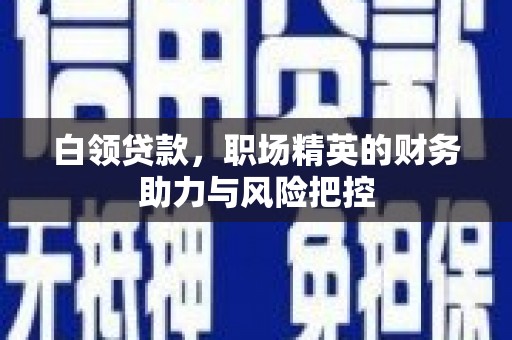 亭湖白领贷款，职场精英的财务助力与风险把控