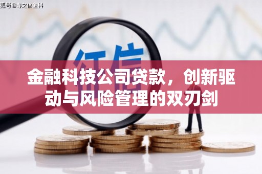 亭湖金融科技公司贷款，创新驱动与风险管理的双刃剑
